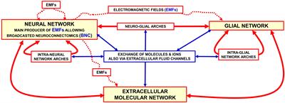 Modulating brain integrative actions as a new perspective on pharmacological approaches to neuropsychiatric diseases